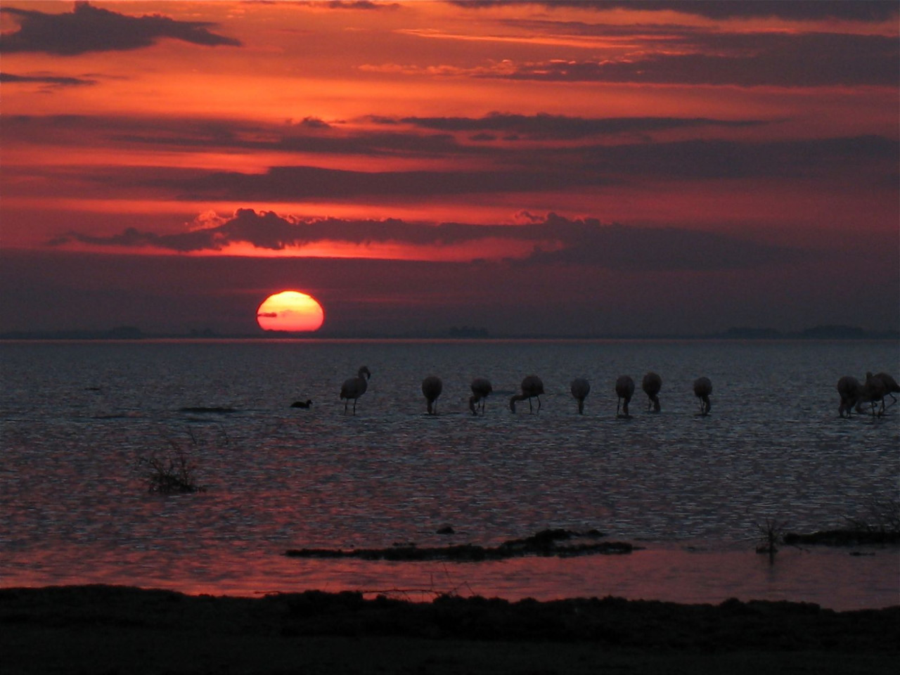 Laguna en Guaminí. Foto: X