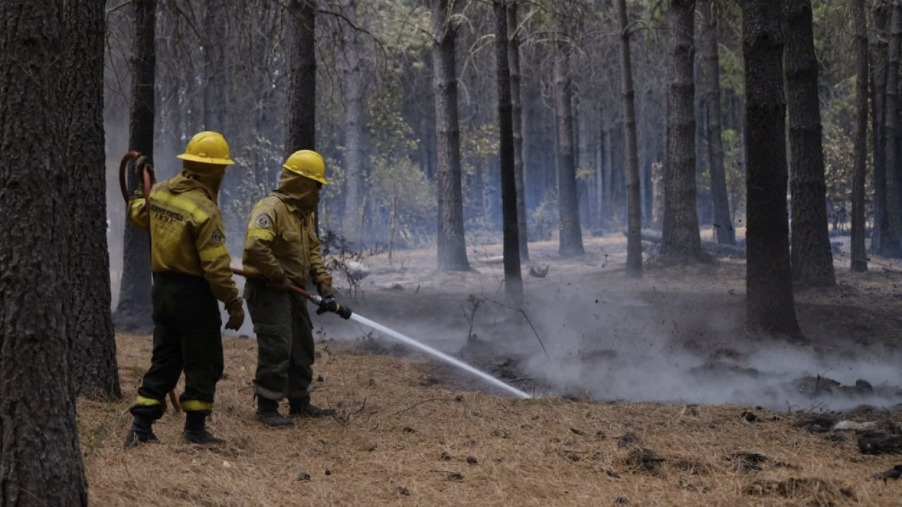 Comarca Andina, incendios. Foto: Télam