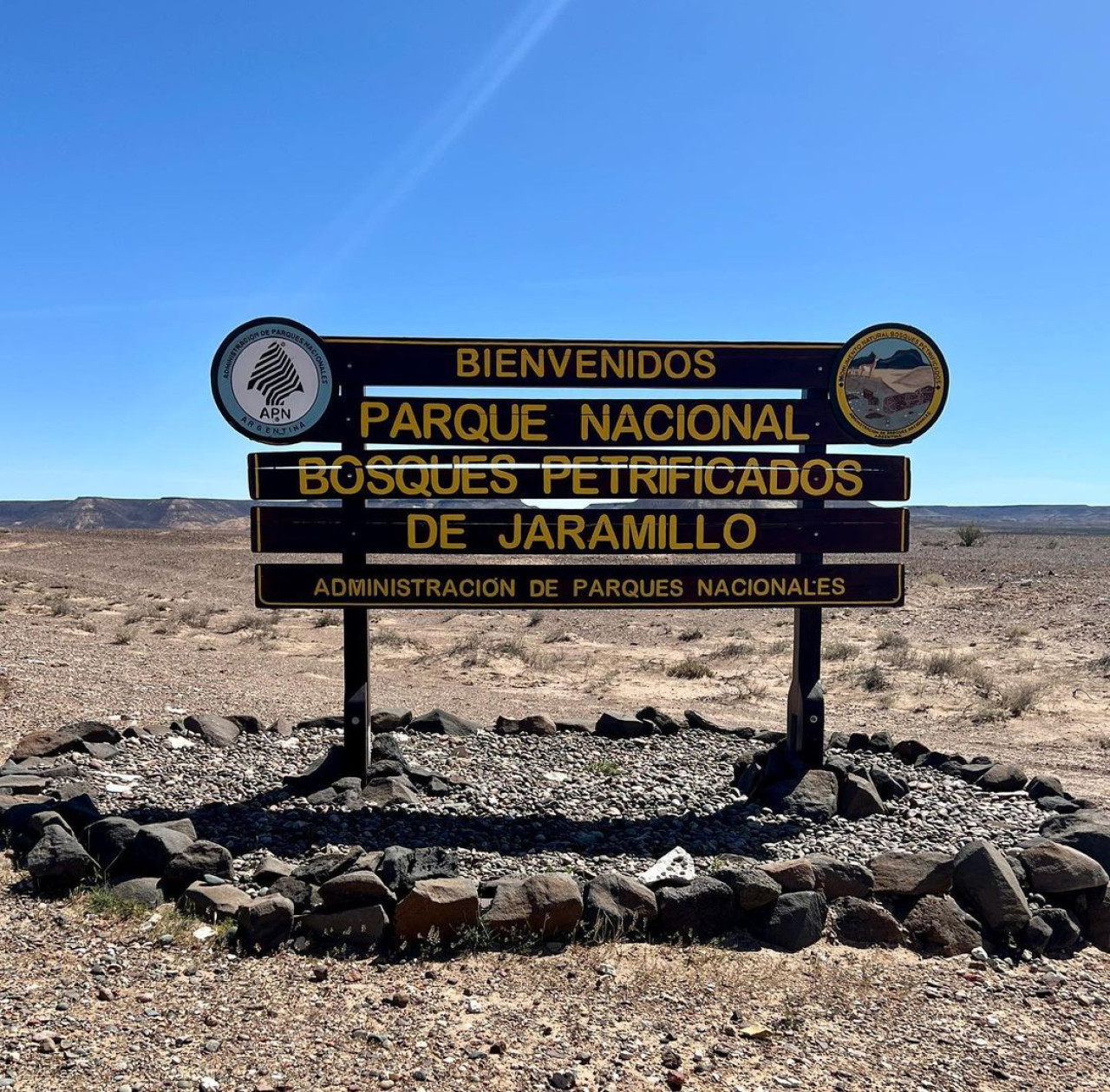 Los Bosques Petrificados de Jaramillo. Foto Instagram.