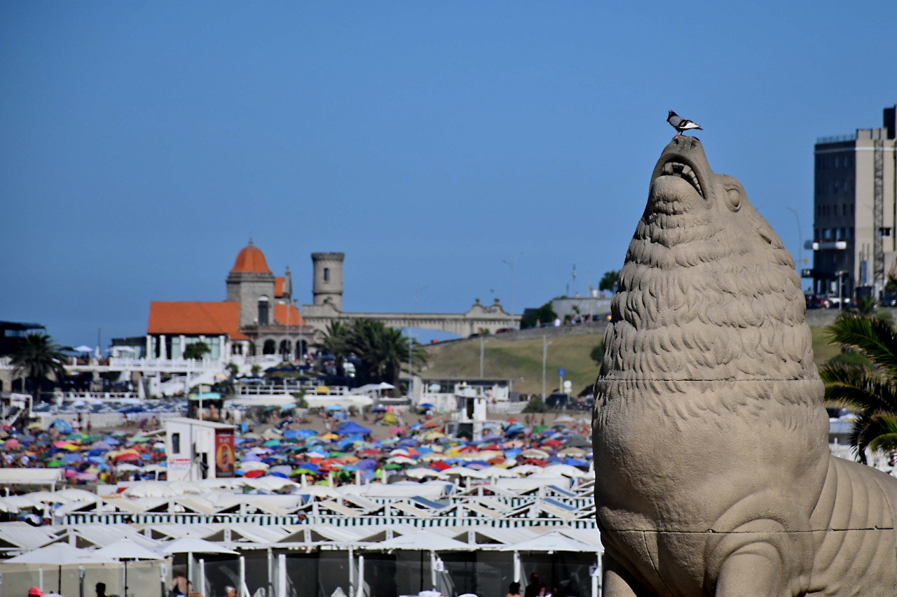 Mar del Plata. Foto: NA