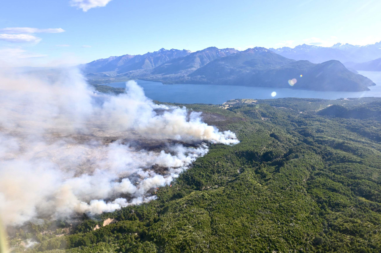 Incendio en el Parque Nacional Los Alerces. Foto: Télam.