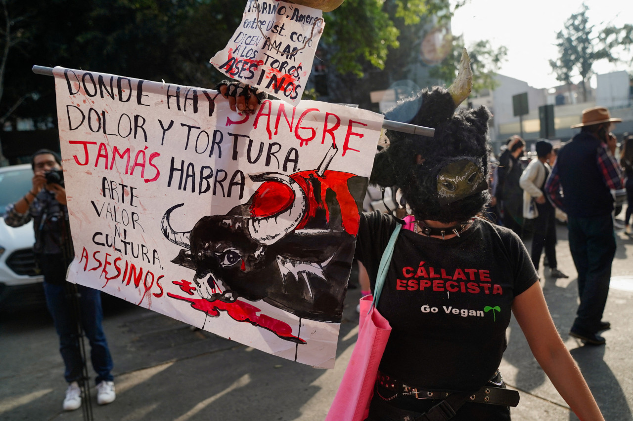 Manifestaciones contra las corridas de toros. Foto: Reuters