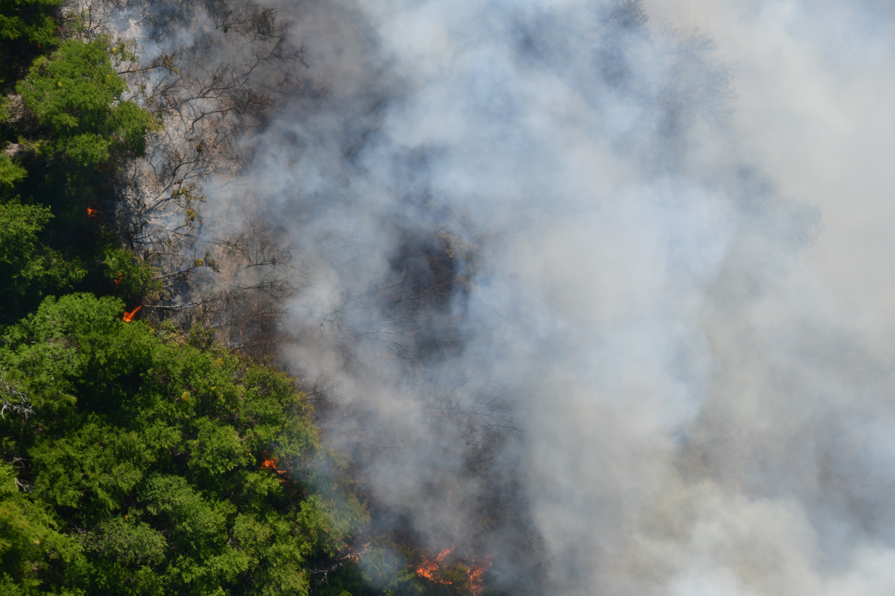 Incendio en parque Los Alerces. Foto: Télam