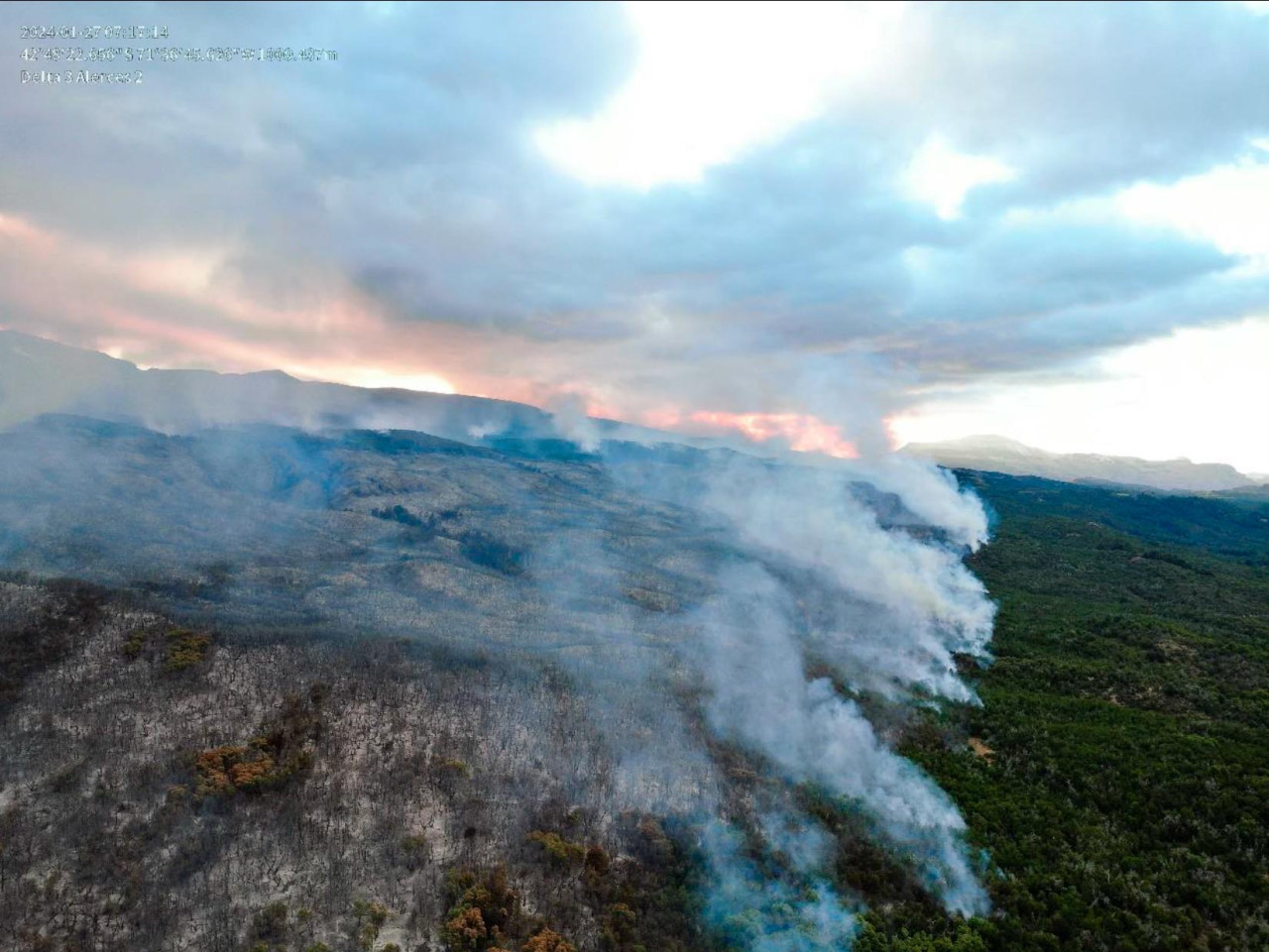 Incendio en parque Los Alerces. Foto: Télam