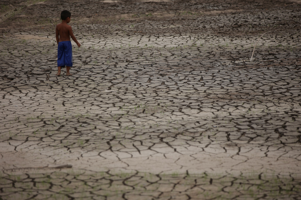 Histórica sequía en el Amazonas. Foto: Reuters