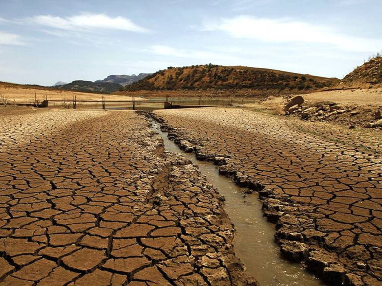 Sequía en España. Foto: Reuters