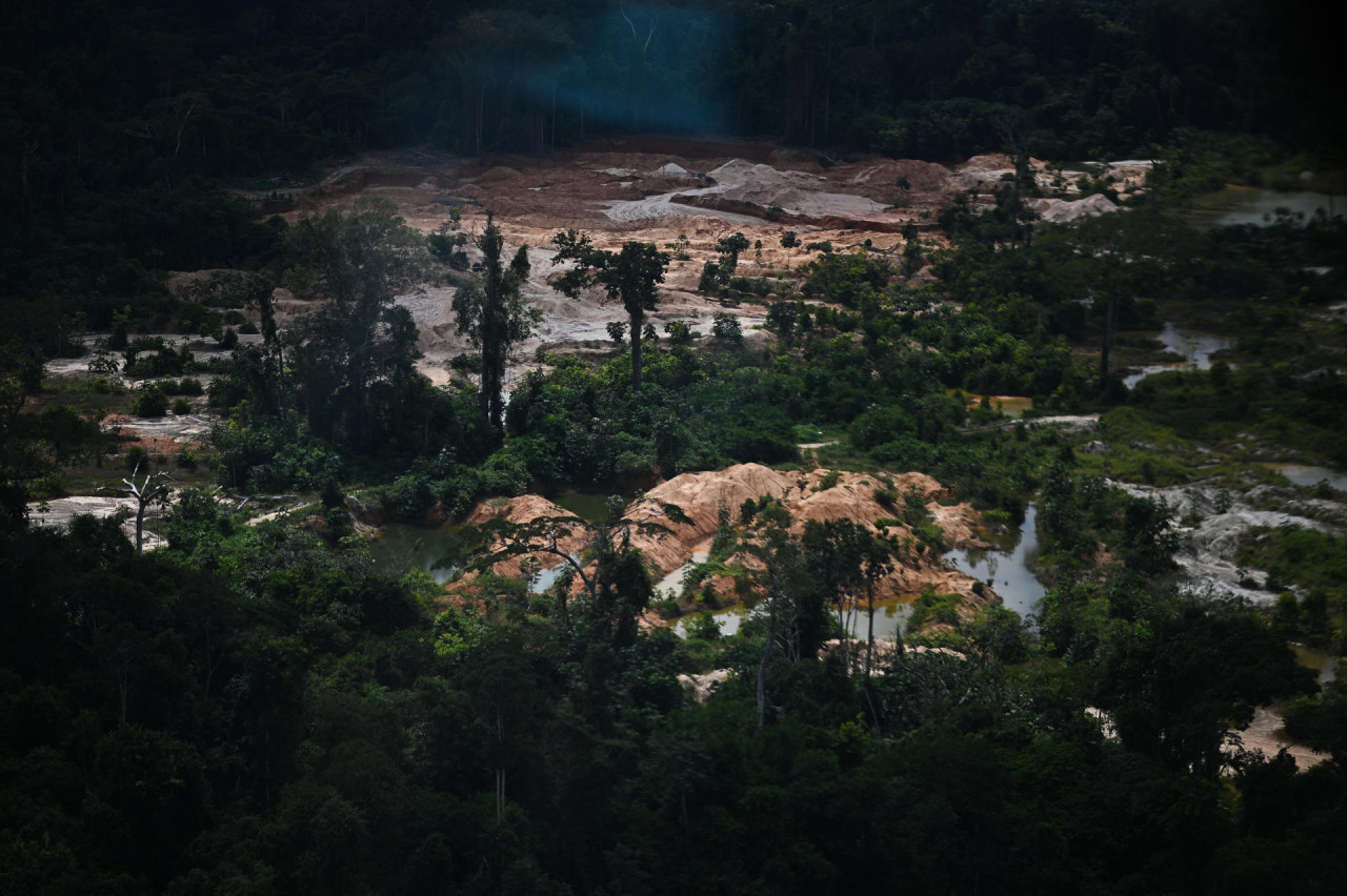Destrucción del Amazonia. Foto: EFE.