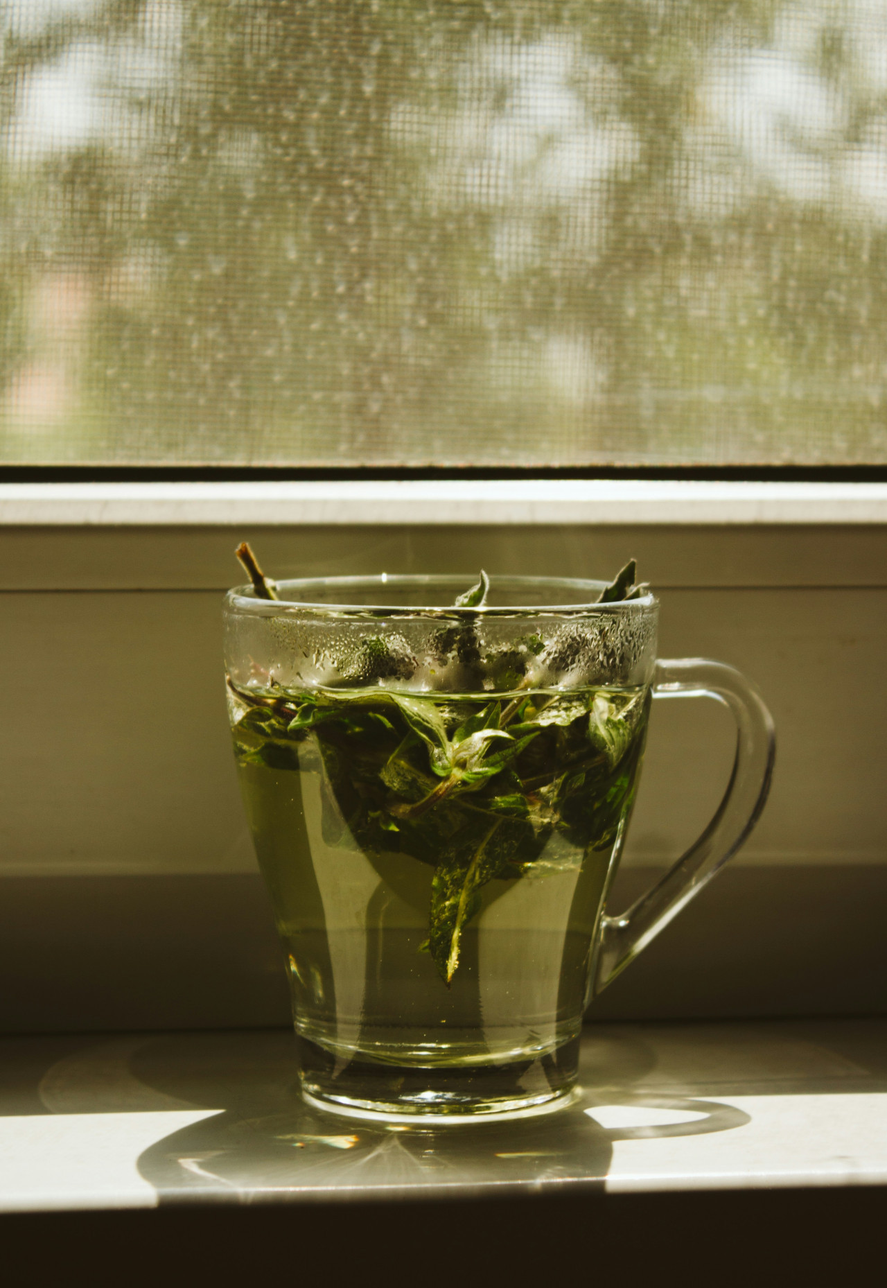 Té verde. Foto: Unsplash.