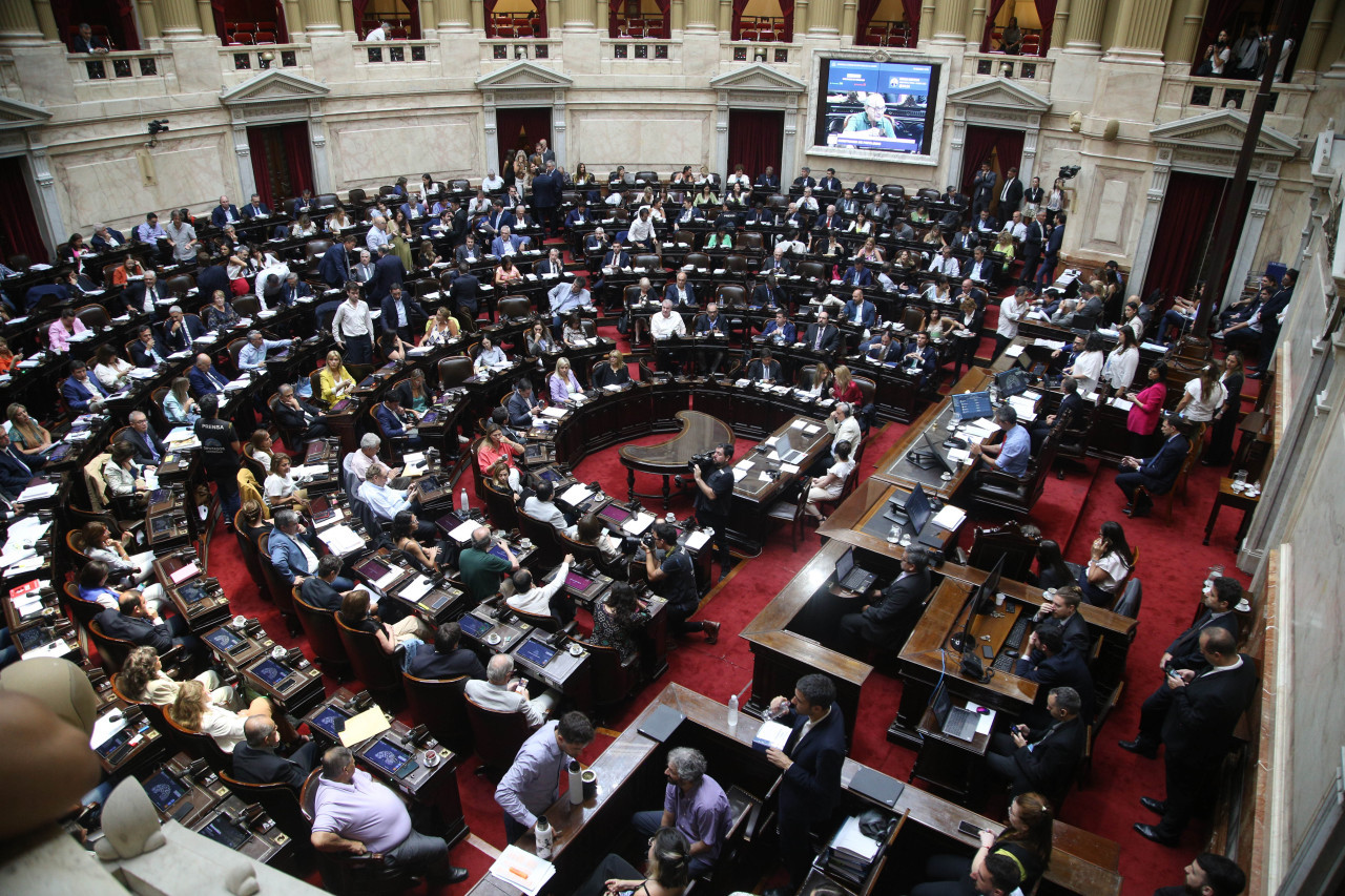 Debate Ley Ómnibus en Diputados. Foto: NA