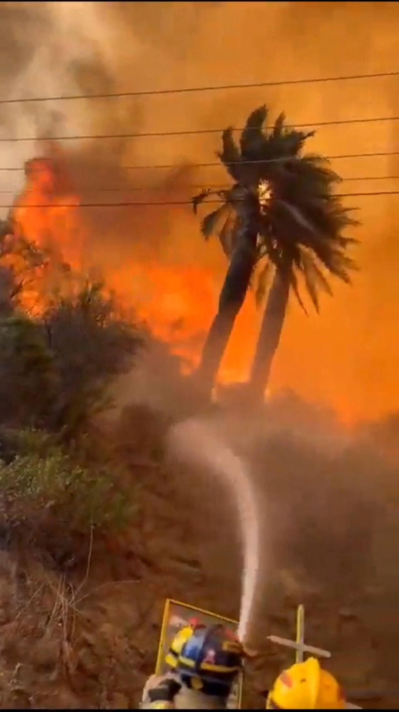 Incendios en Chile. Foto: Reuters.