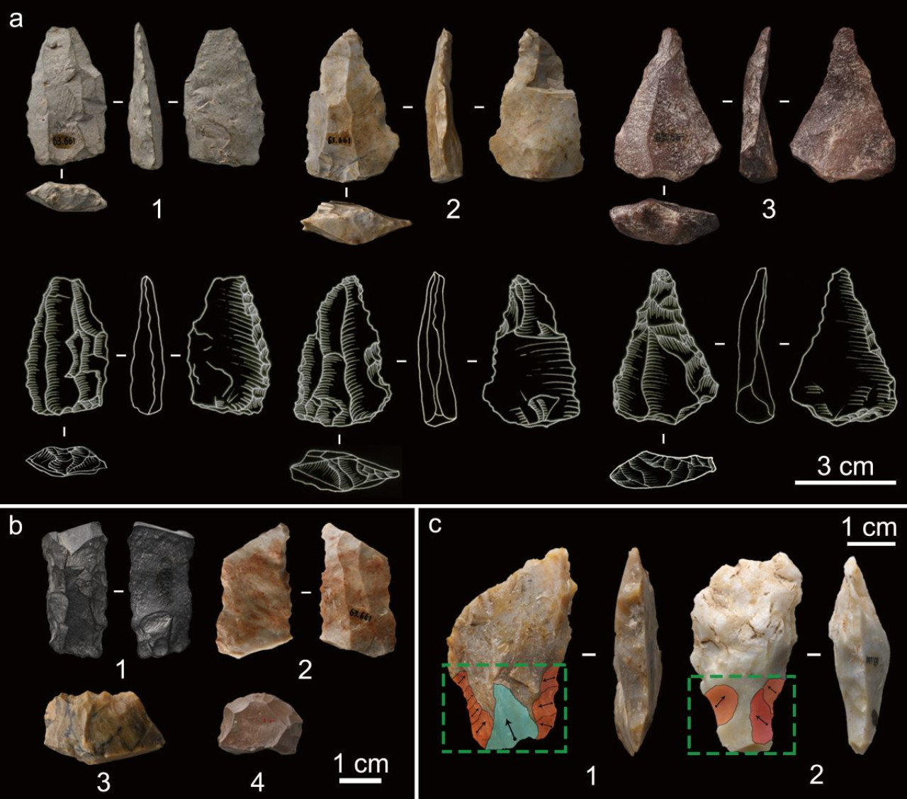 Artifacts found in Ilsenhörne Cave.  Photo: Ctalá Institute of Human Paleoecology and Social Evolution