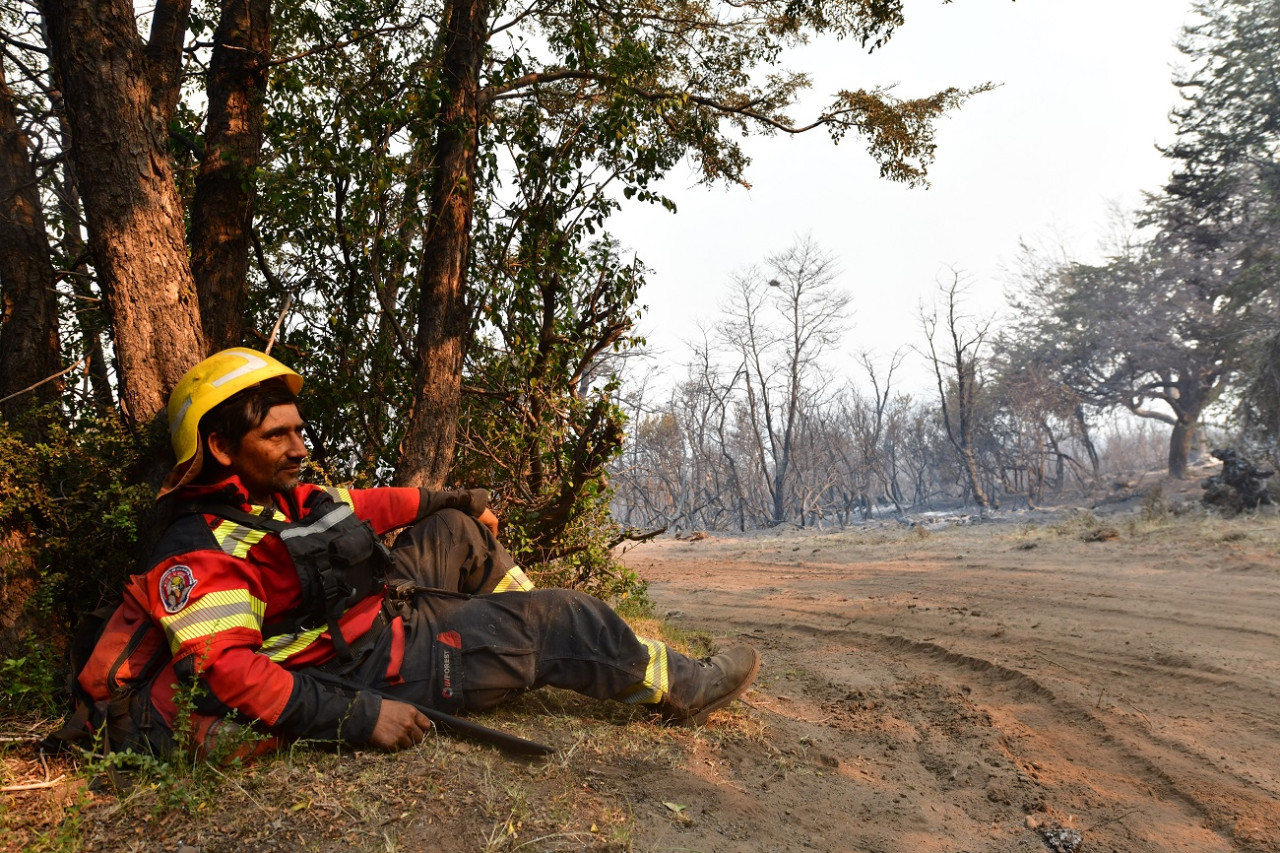 Incendio en Los Alerces. Foto: Télam