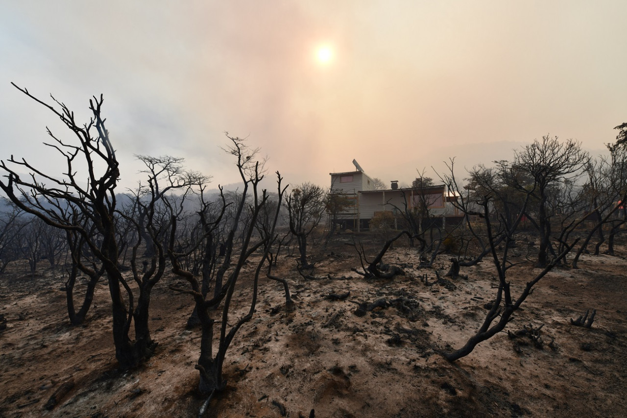 Incendio en Los Alerces. Foto: Télam