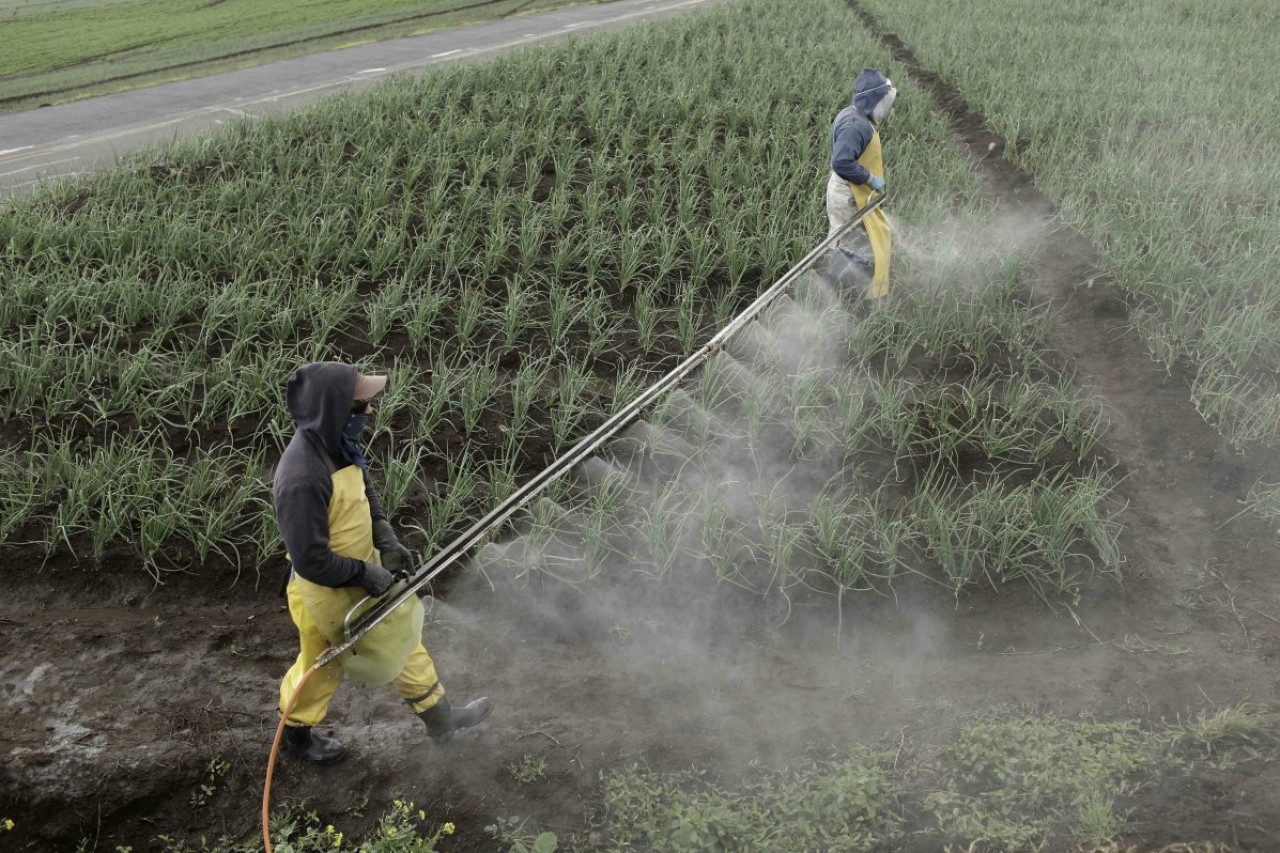 Uso de pesticidas. Foto: EFE