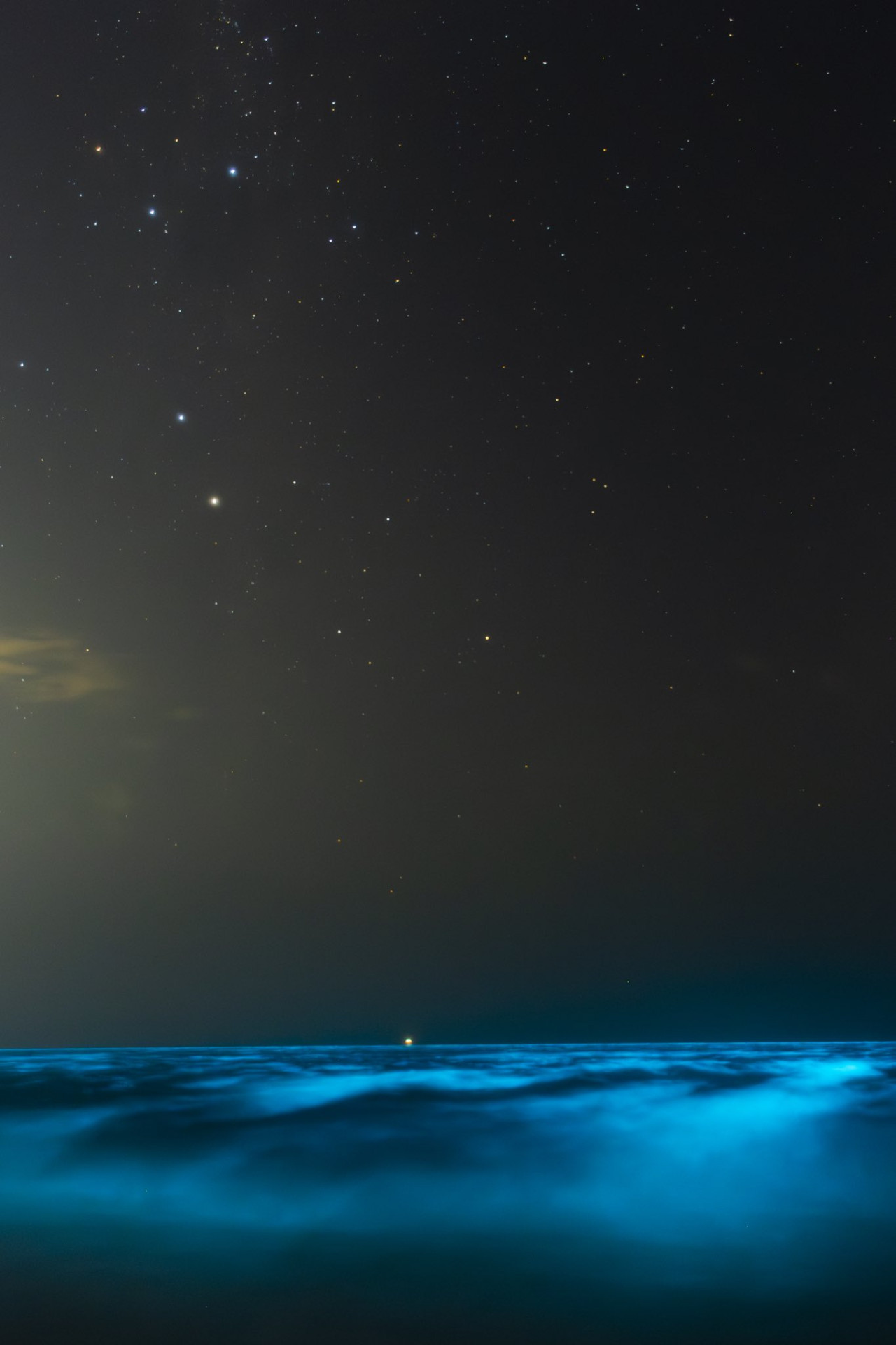 El mar se tiñó de celeste fluorescente en Uruguay. Foto X.