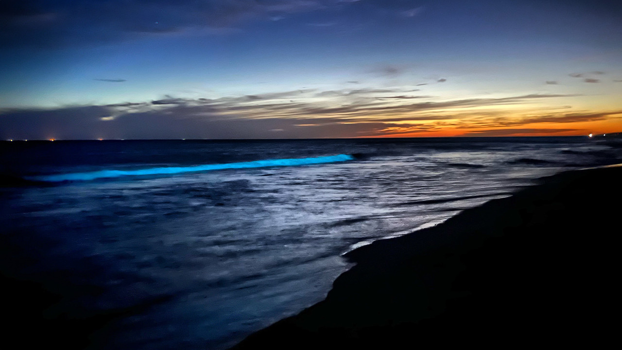 El mar se tiñó de celeste fluorescente en Uruguay. Foto X.