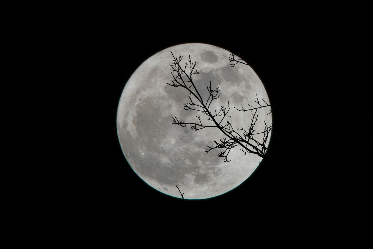 Luna, NASA, cuerpo celeste. Foto: Unsplash