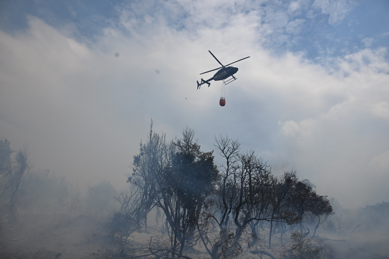 Incendio en Los Alerces. Foto: Télam