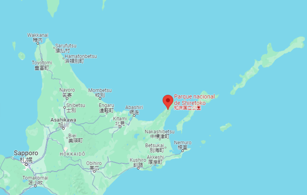 La península japonesa donde se encontraban atrapadas las orcas.
