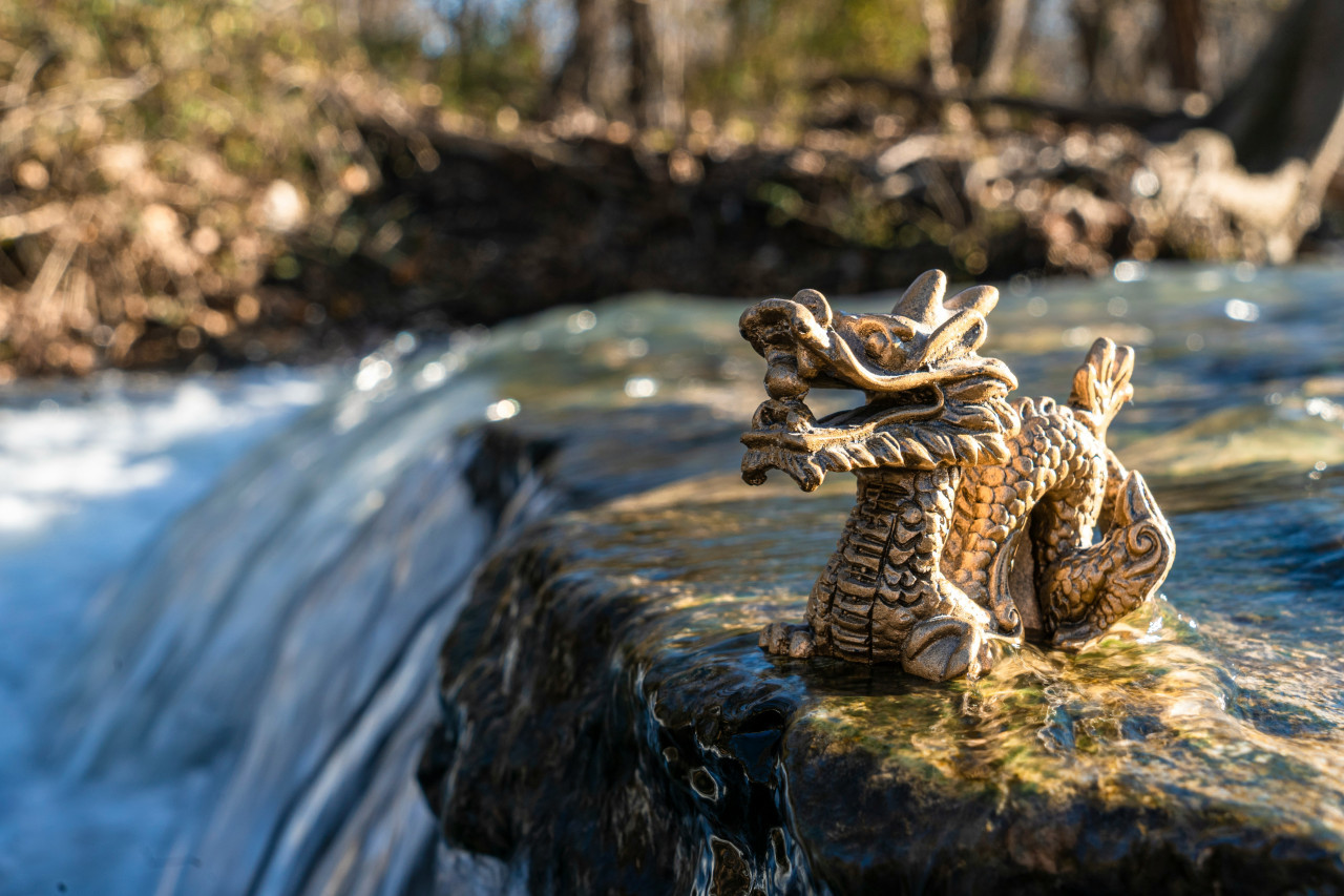 Dragón chino. Foto: Unsplash