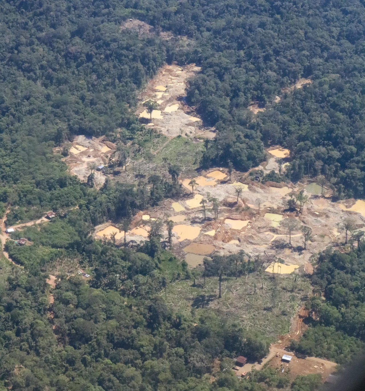 Amazonía de Ecuador, minería ilegal. Foto: EFE