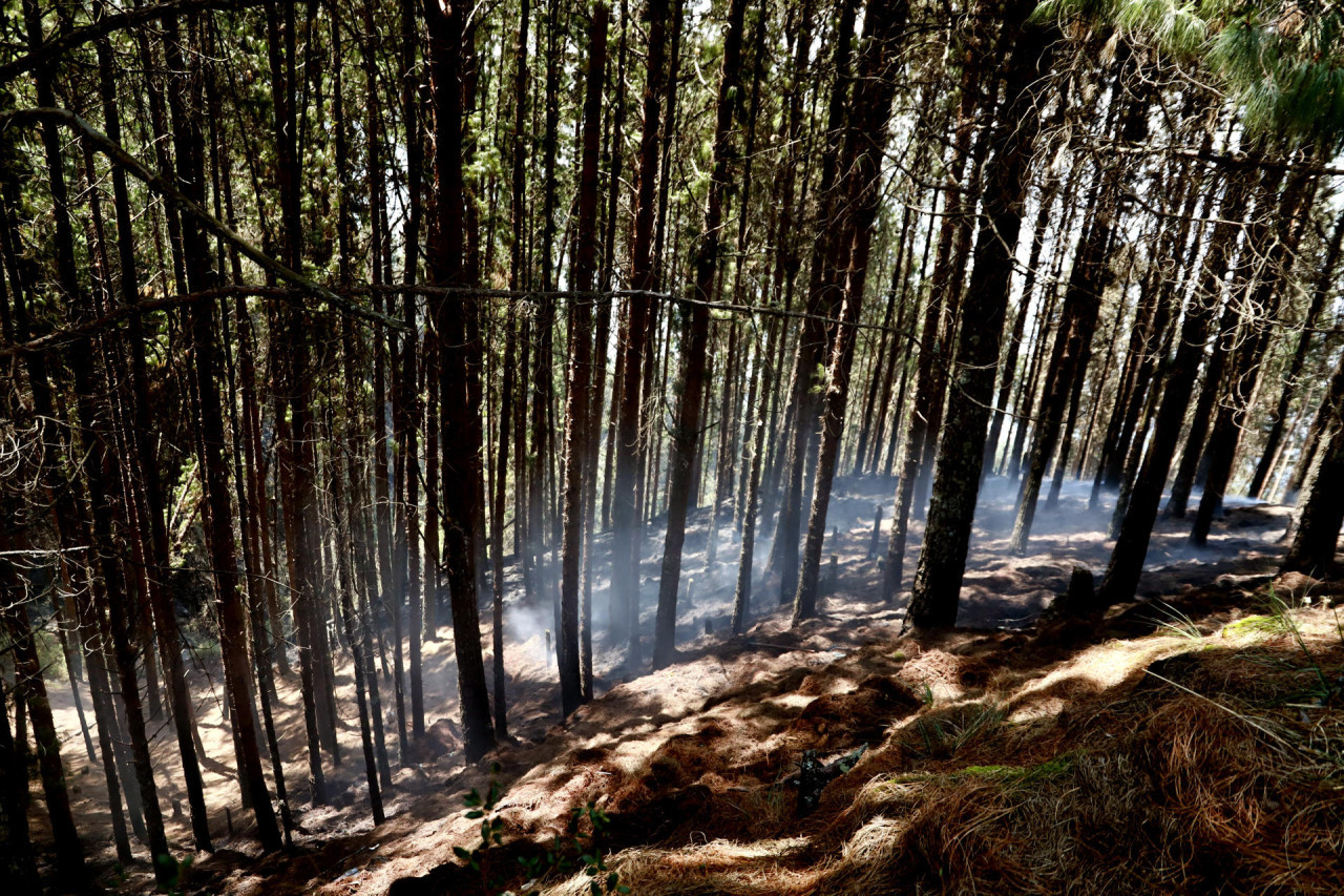 Incendios en Bogotá. Foto: EFE