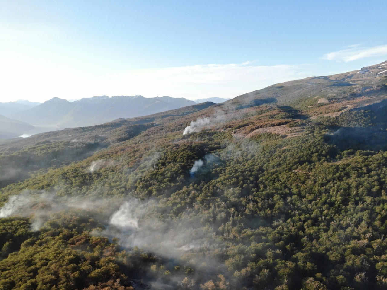 Incendio en el Parque Nacional Los Alerces. Foto: Télam.