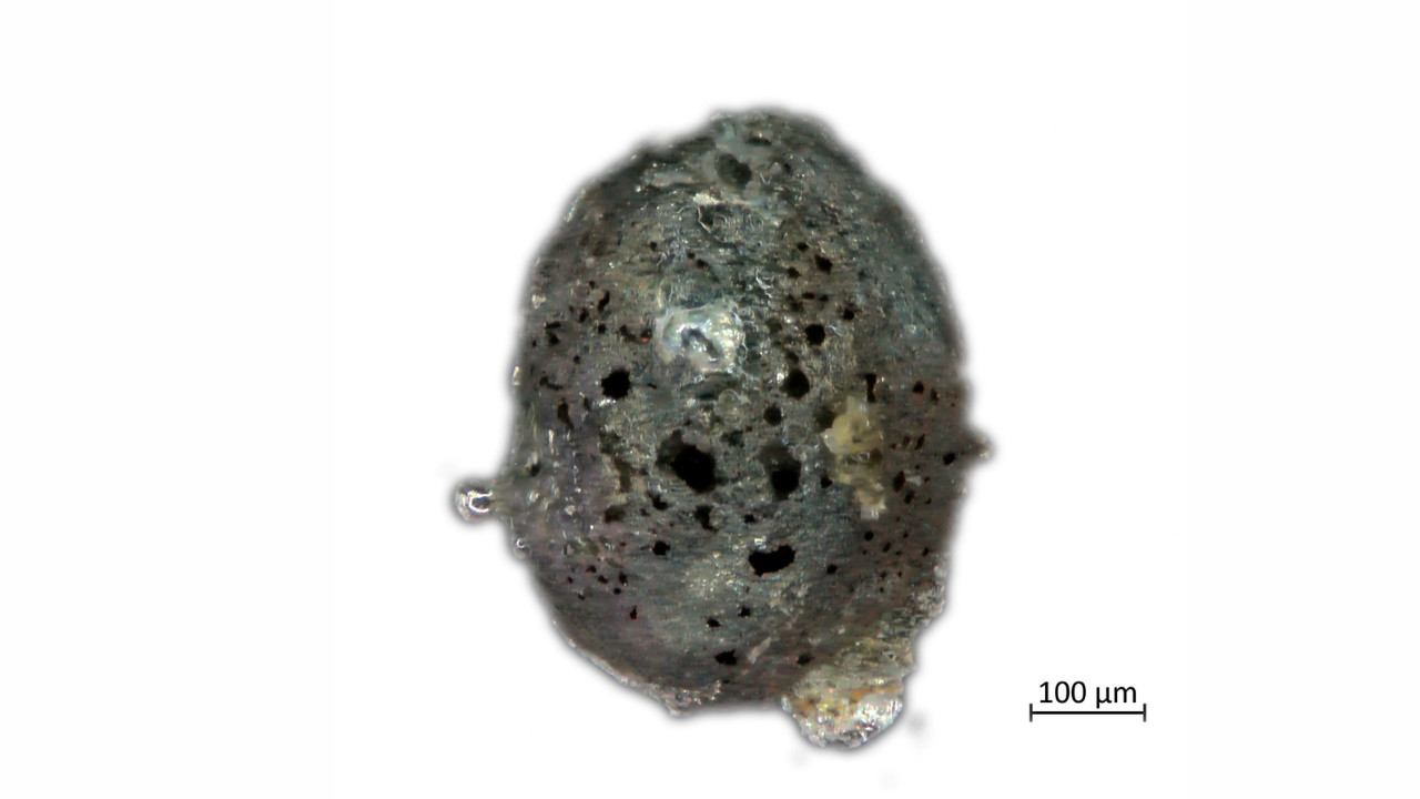 They discovered a never-before-seen micro-meteorite in Italy.  Photo: EFE