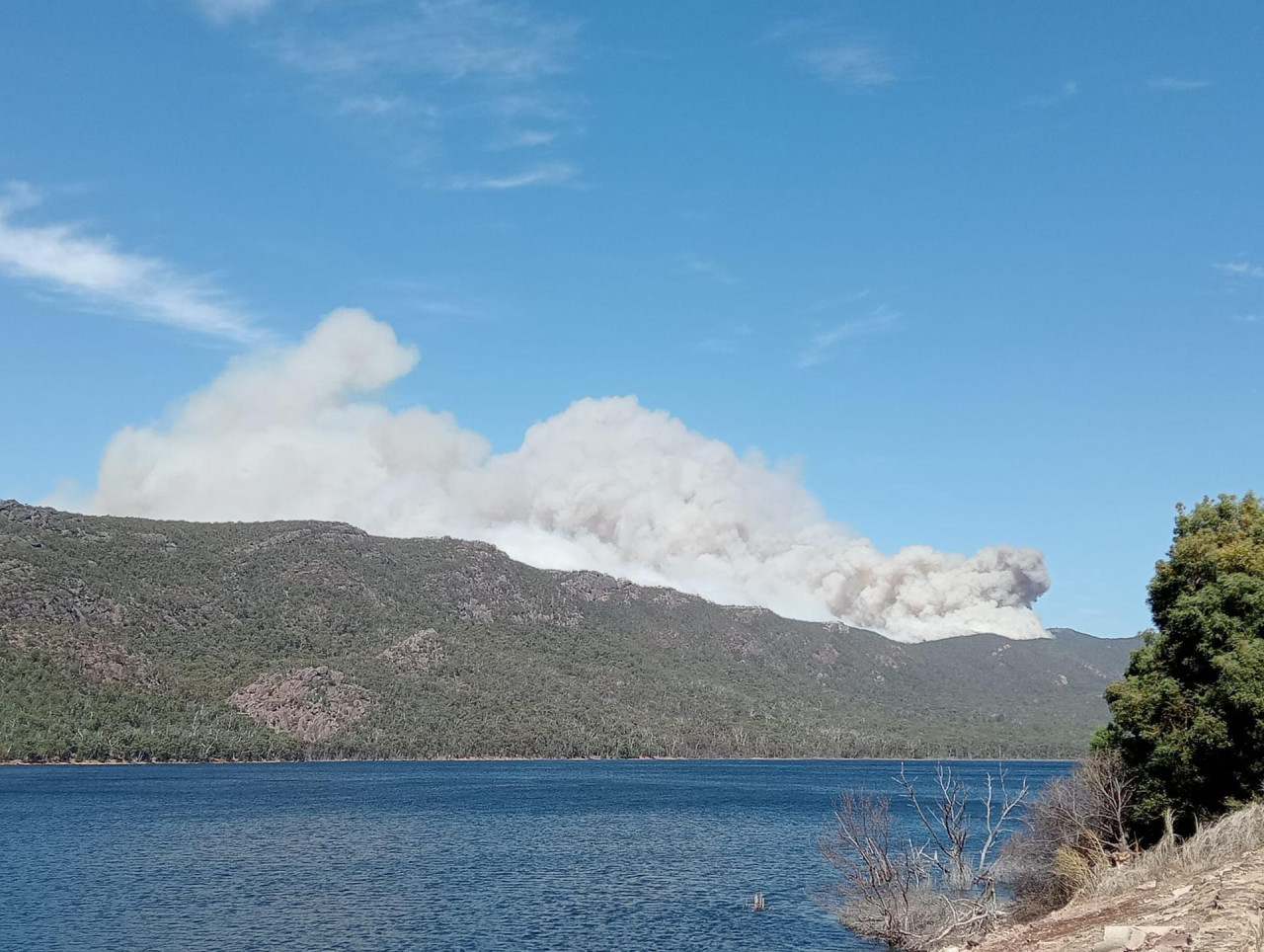 Incendios forestales en Australia. Foto: EFE.