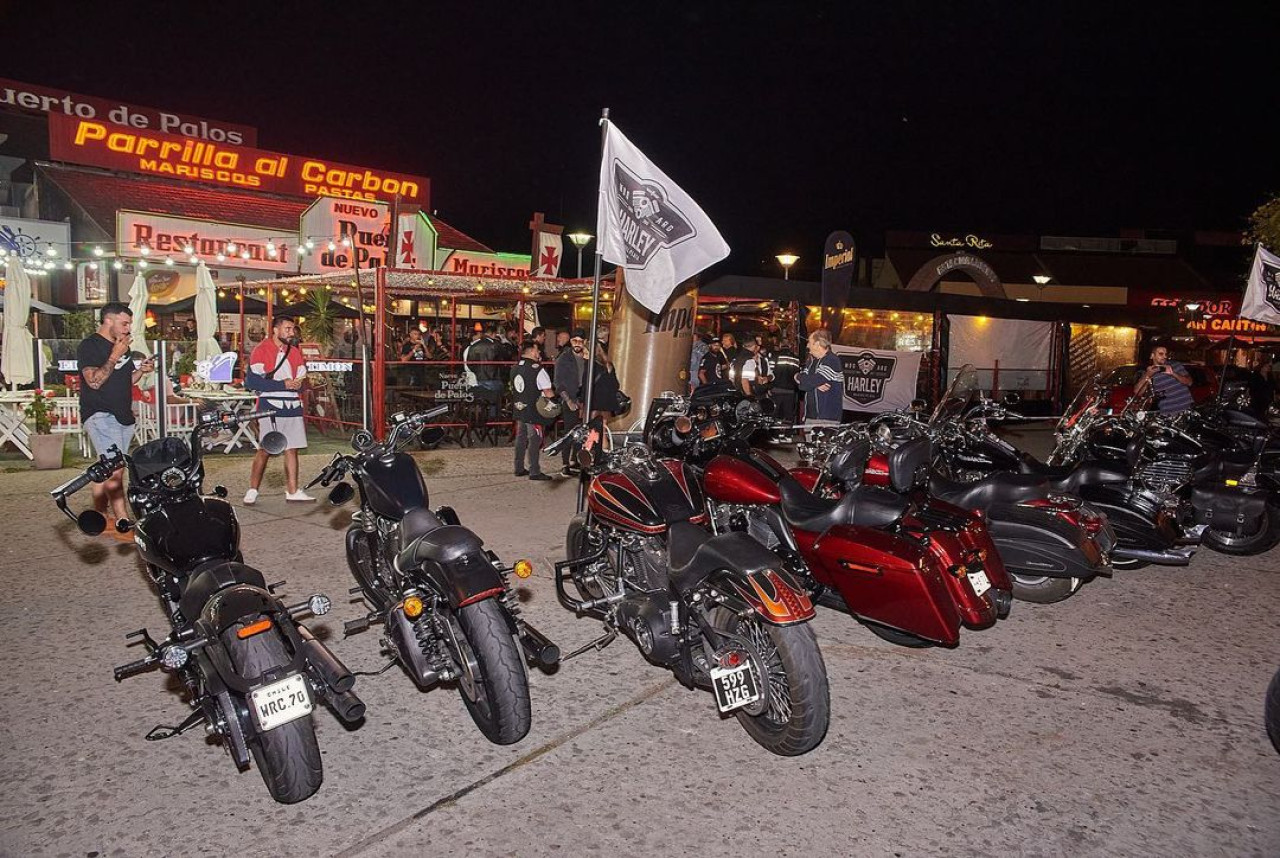 Evento internacional de Harley Davidson en Mar del Plata: cuándo es y cómo será el encuentro que reúne a 300 motociclistas | Canal 26