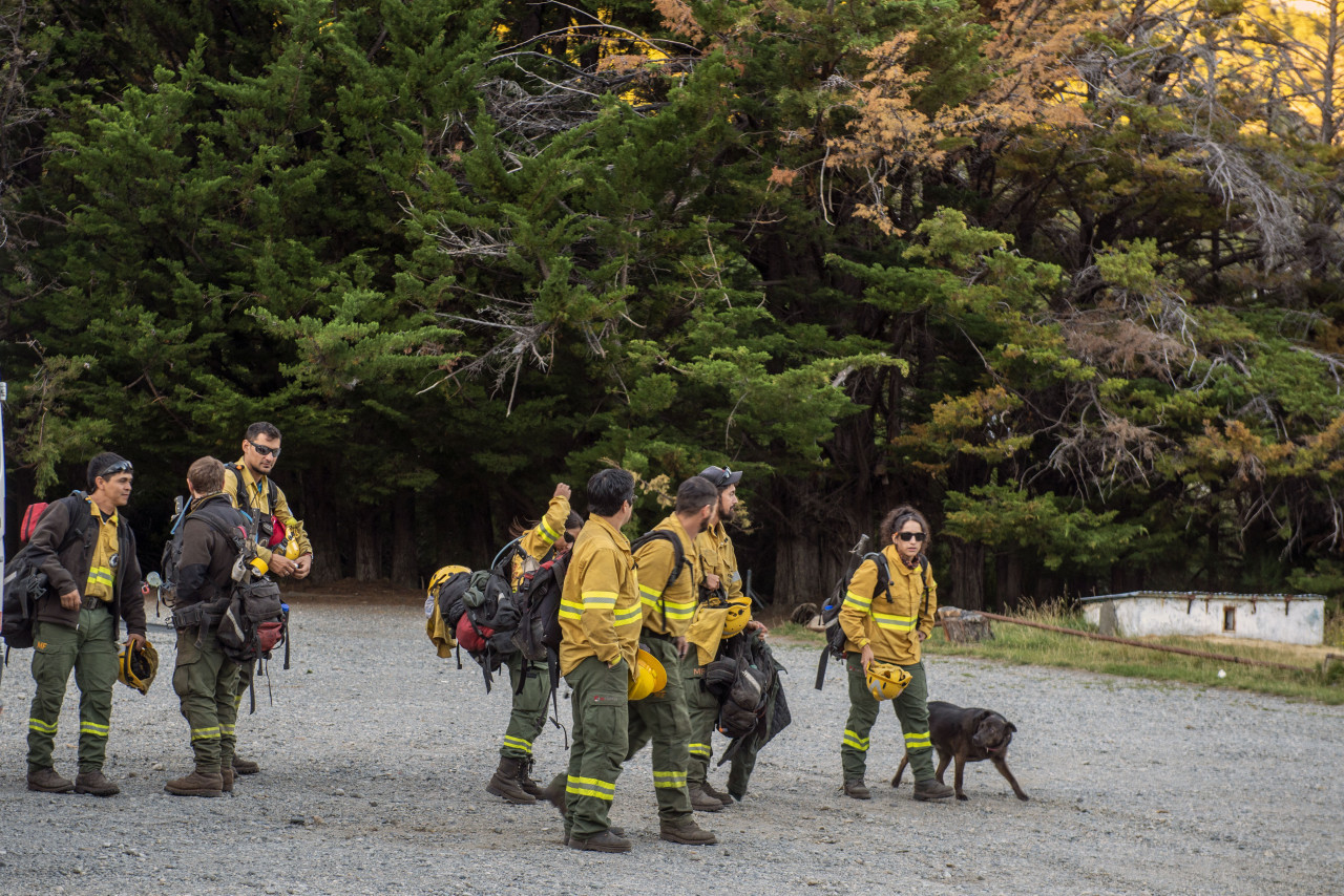 Brigadistas que acudieron al incendio forestal en el Parque Nacional Nahuel Huapi. Foto: Télam.