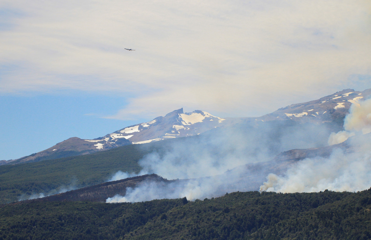 Los Alerces. Foto: Reuters.