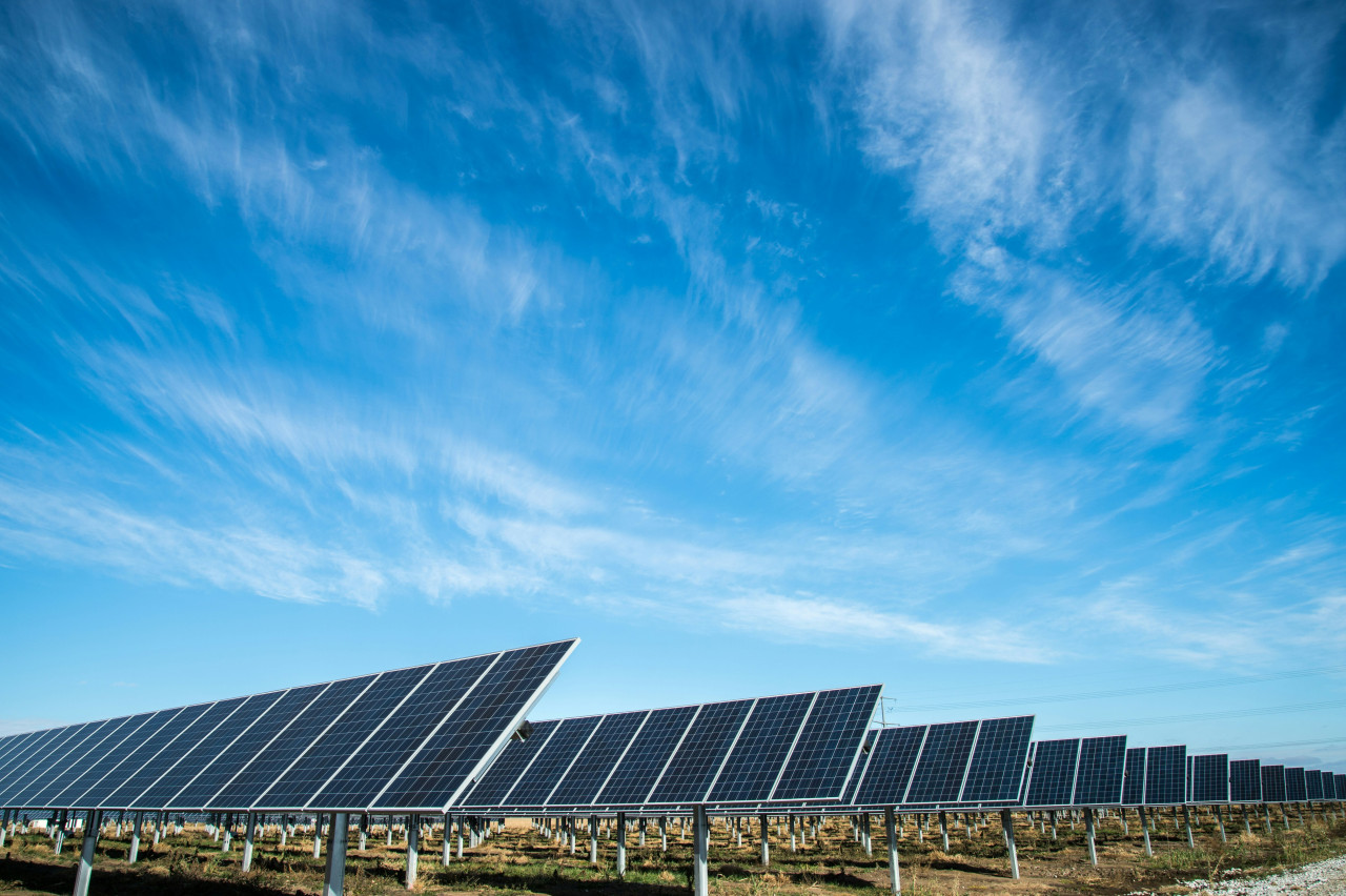 Paneles solares. Foto: Unsplash