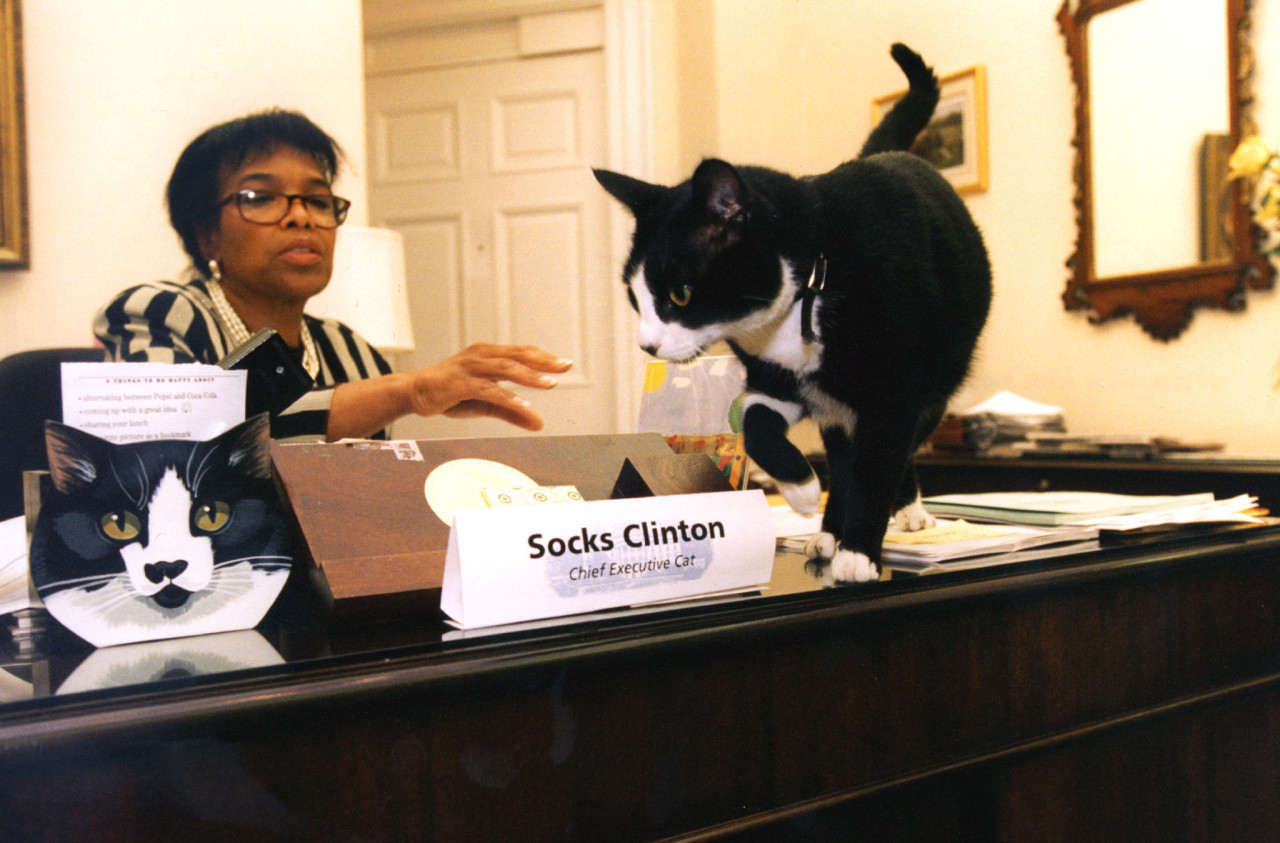 Socks Clinton. Foto: Reuters.