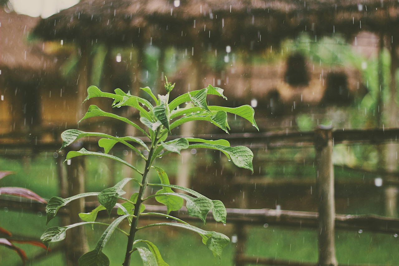 Lluvia, tormenta, agua. Foto: Unsplash