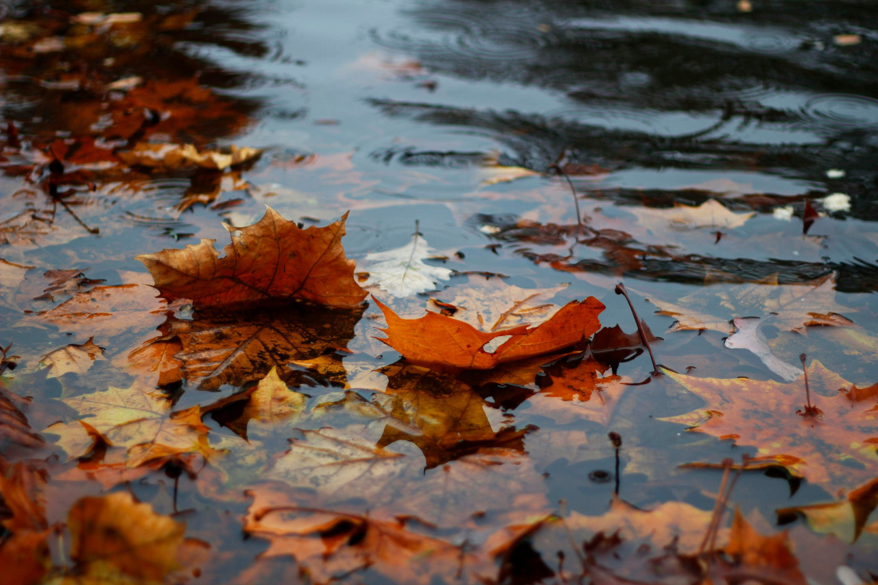 Lluvia, tormenta, agua. Foto: Unsplash