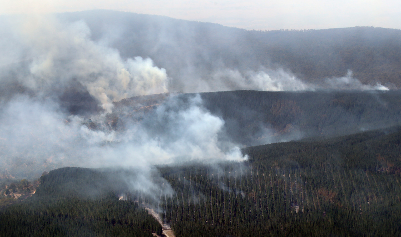 Incendios forestales en Australia. Foto: Reuters.