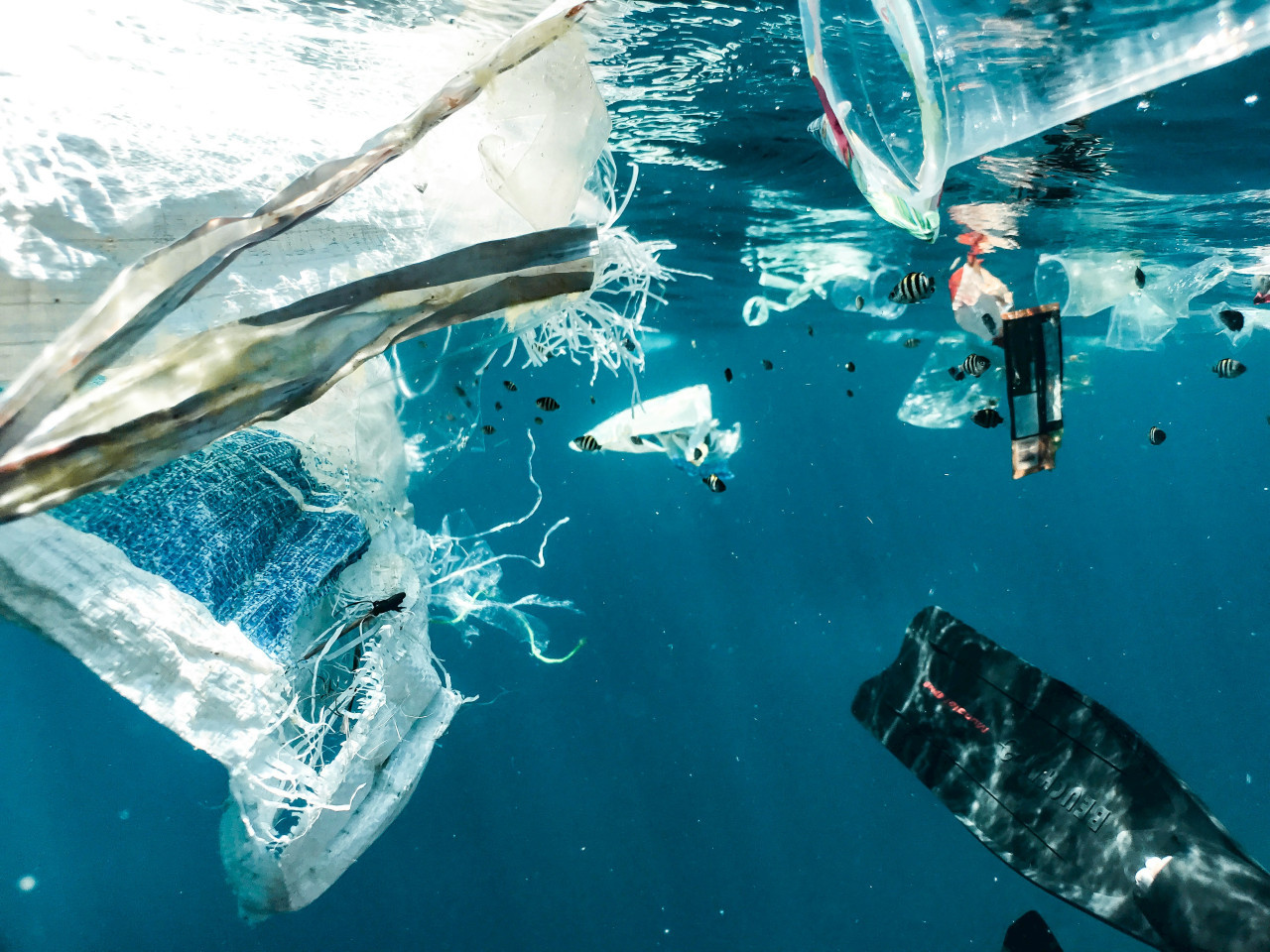 Contaminación por plásticos. Foto: Unsplash