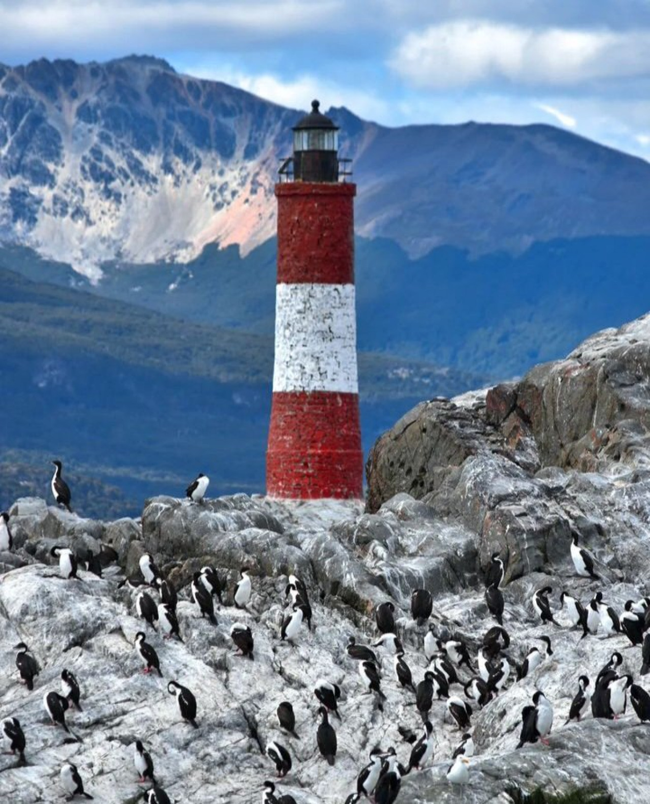 Canal Beagle, Ushuaia, Tierra del Fuego. Foto X.