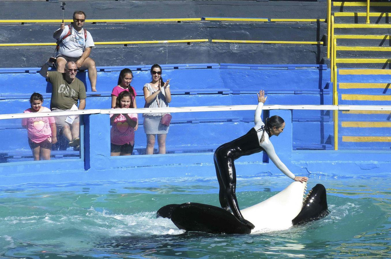 Miami Seaquarium. Foto: Reuters