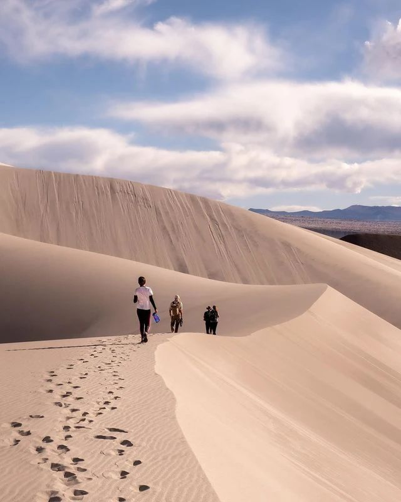 Campo de Piedra Pomez. Foto redes sociales.