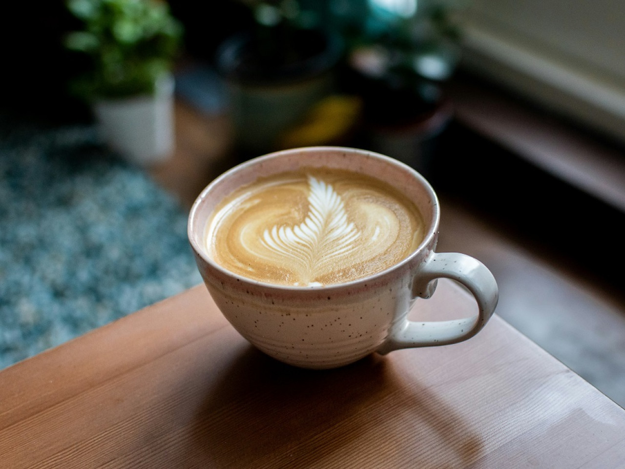 Flat White, café de especialidad. Foto: Unsplash.