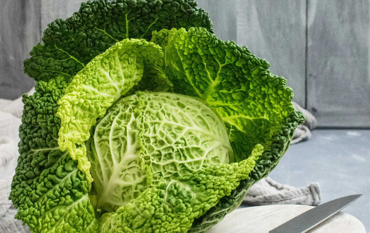 Lechuga. Foto: Unsplash.