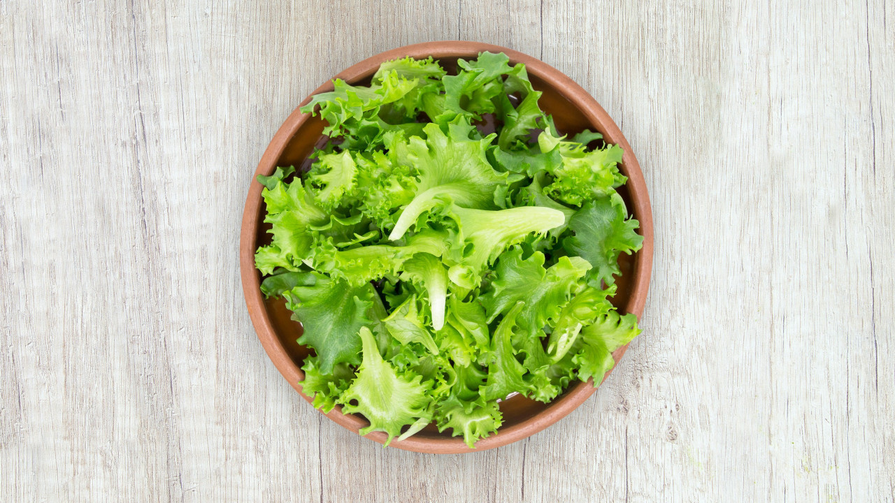 Lechuga. Foto: Unsplash.