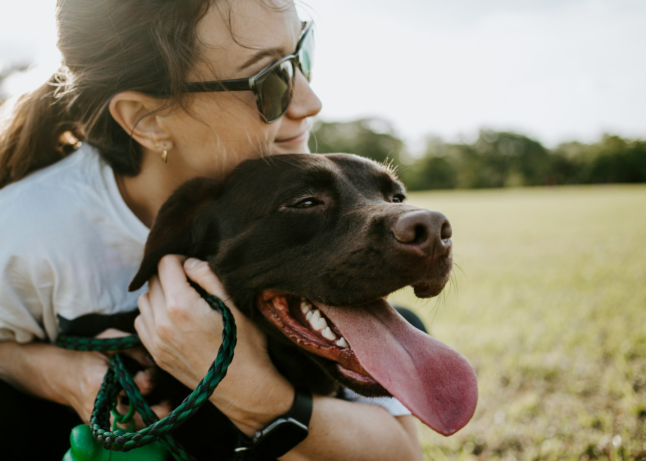 Perros, mascotas, dueños. Foto: Unsplash