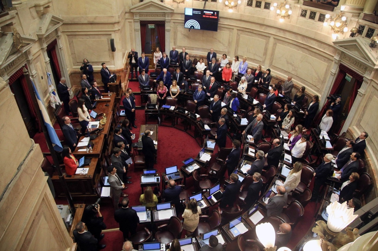 Senado de la Nación. Foto: NA.