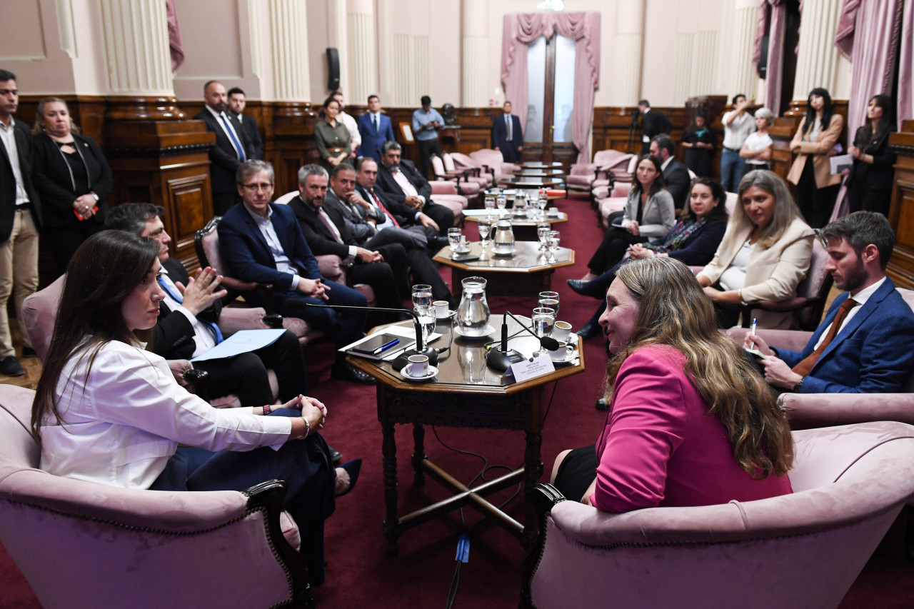 Victoria Villarruel recibió durante la tarde a Kirsty Hayes, embajadora del Reino Unido de Gran Bretaña e Irlanda Del Norte, en el salón Eva Perón_Presidencia Arg