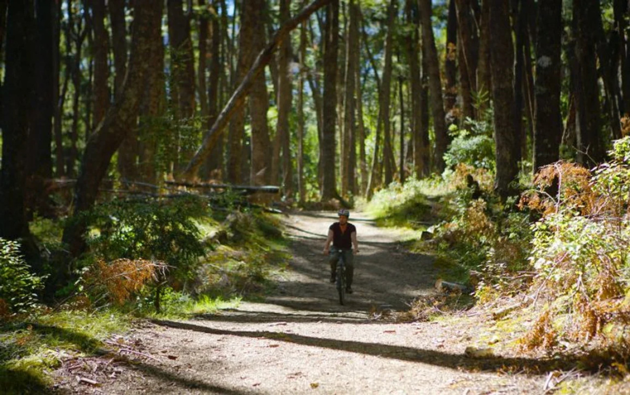 Parque Nacional Nahuel Huapi, Rio Negro y Neuquén. Foto NA.