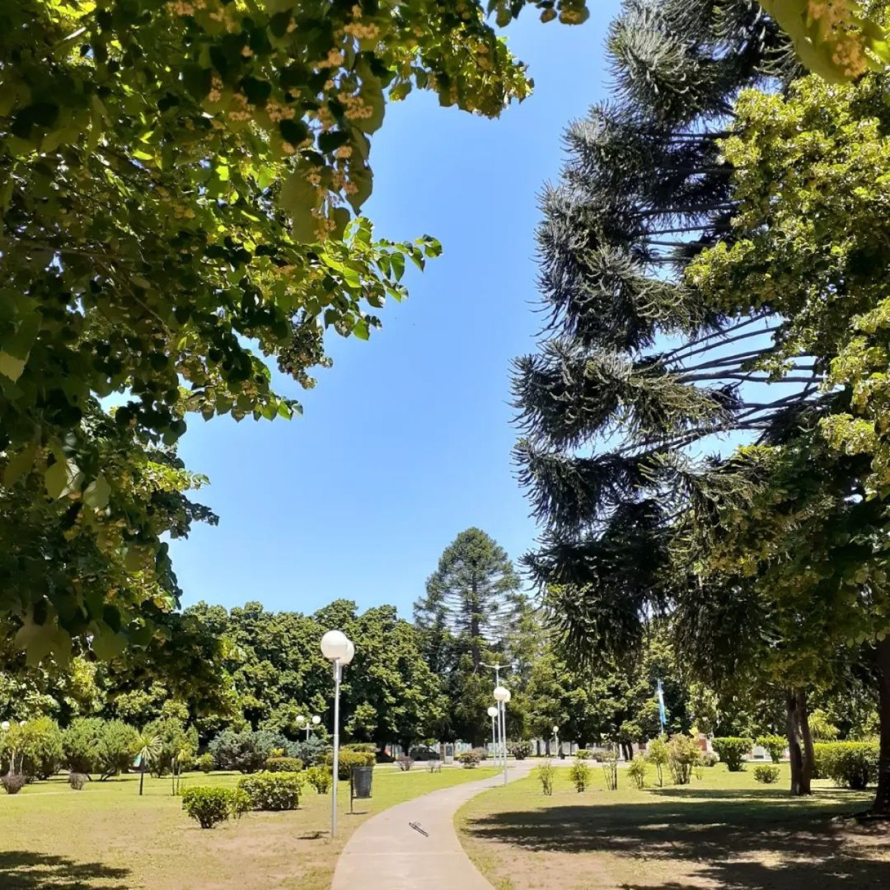 Daireaux, provincia de Buenos Aires. Foto: Instagram.