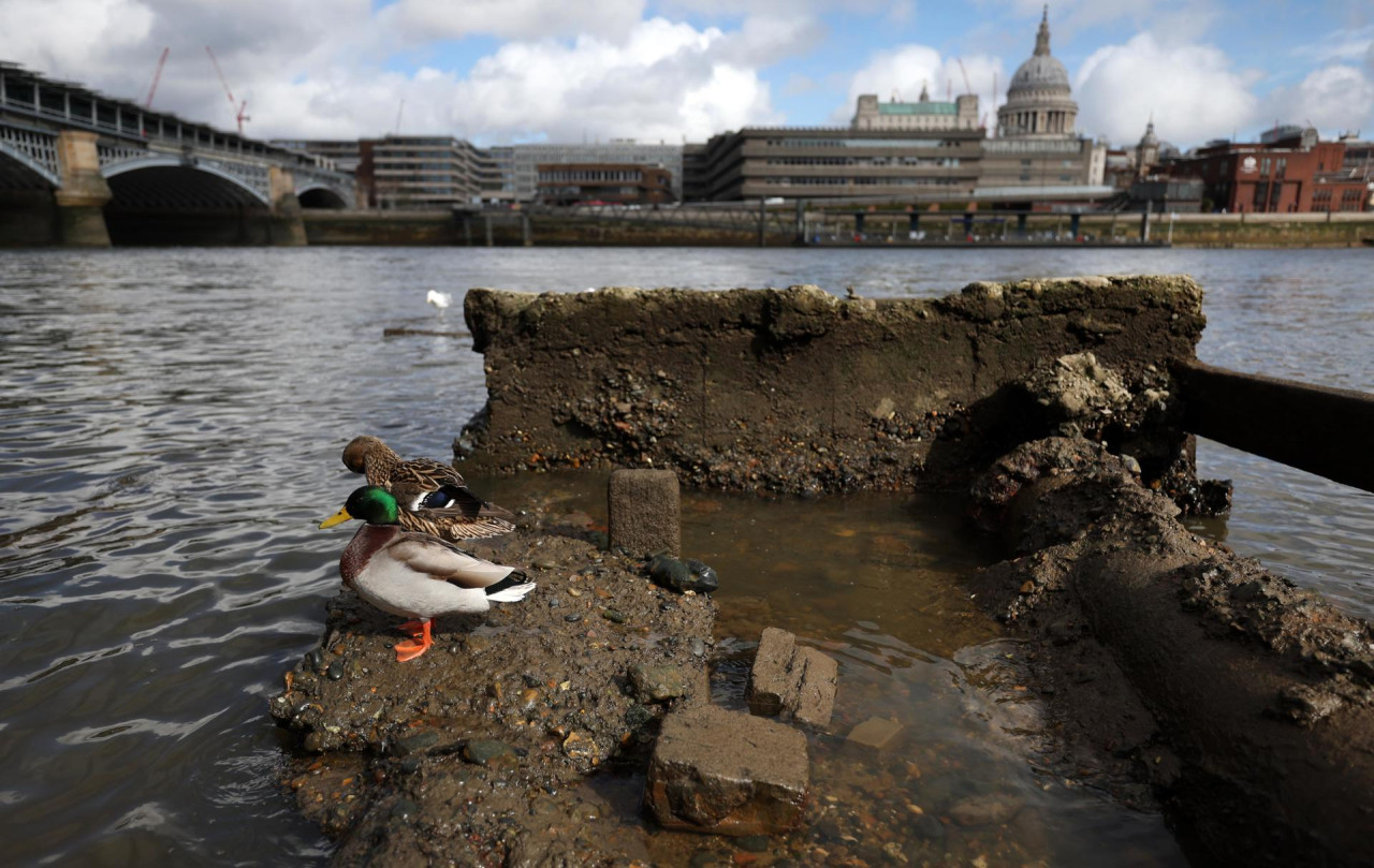 Contaminación en el río Támesis. Foto: EFE